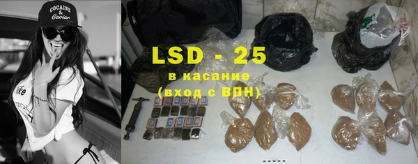 дживик Богородицк