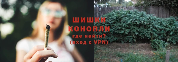 дживик Богородицк