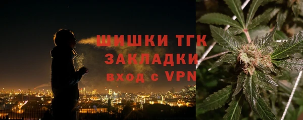 дживик Богородицк