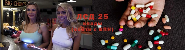 дживик Богородицк