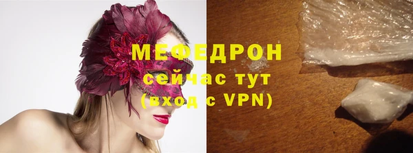 дмт Богданович