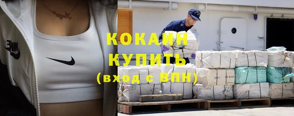 дмт Богданович