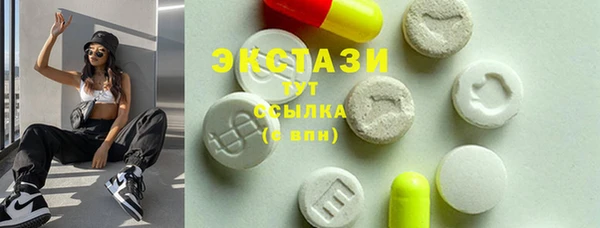 дживик Богородицк