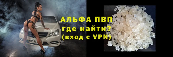 дживик Богородицк