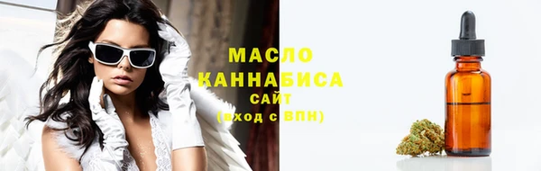 дживик Богородицк