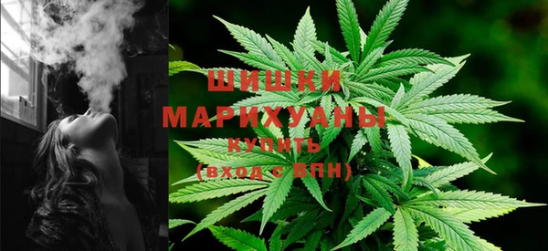 мдпв Сосновый Бор