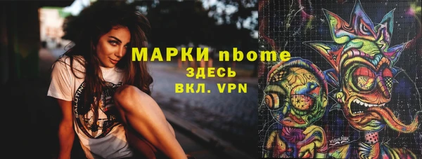 дмт Богданович
