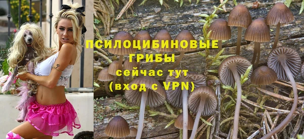 дмт Богданович