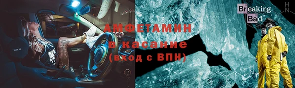 дмт Богданович