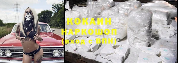 дживик Богородицк