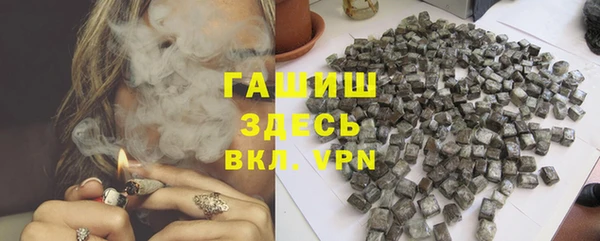 дмт Богданович