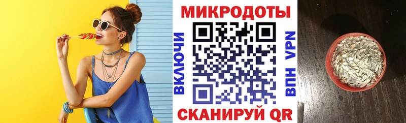 как найти наркотики  Надым  Галлюциногенные грибы Cubensis 