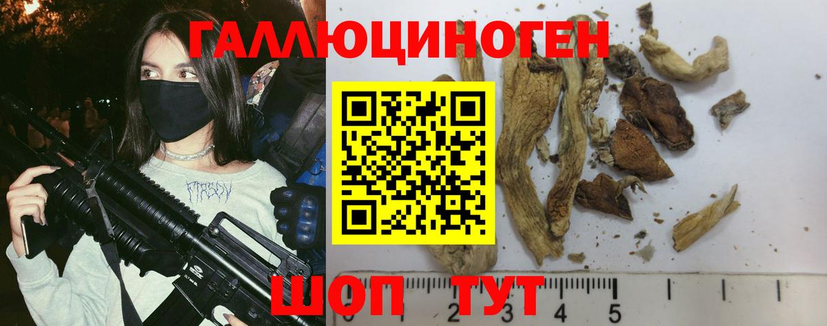 Надым  Галлюциногенные грибы GOLDEN TEACHER  Вход с VPN  Галлюциногенные грибы Psilocybe 