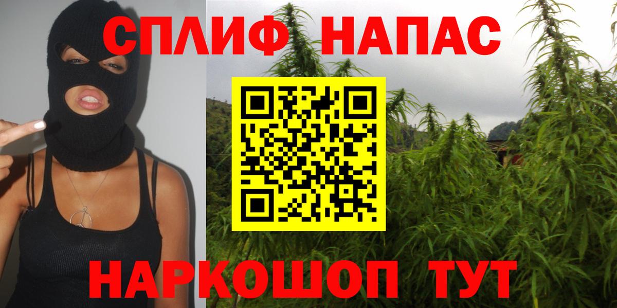 Бошки марихуана планчик  Бошки марихуана сатива  Вход с VPN  Шишки марихуана Bruce Banner  Надым 